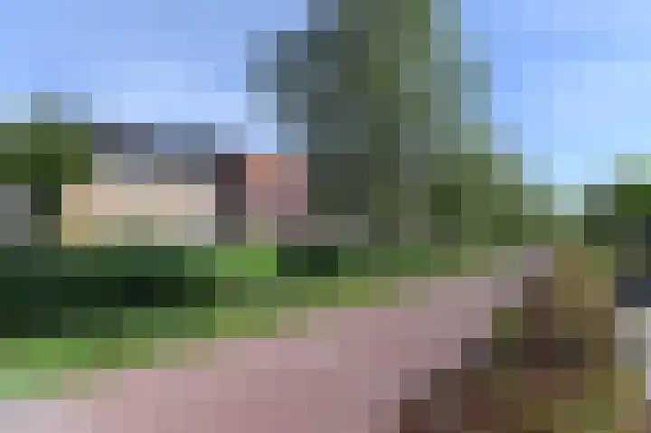 Brink van Kruimeltje 1 Pijnacker thumbnail 35