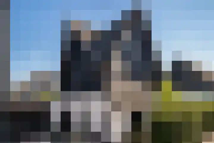 Brink van Kruimeltje 20 in Pijnacker