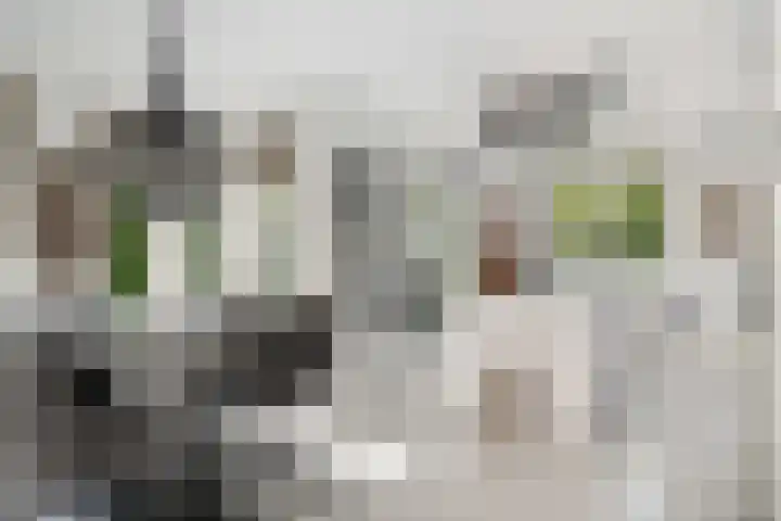 Brink van Kruimeltje 20 Pijnacker thumbnail 12