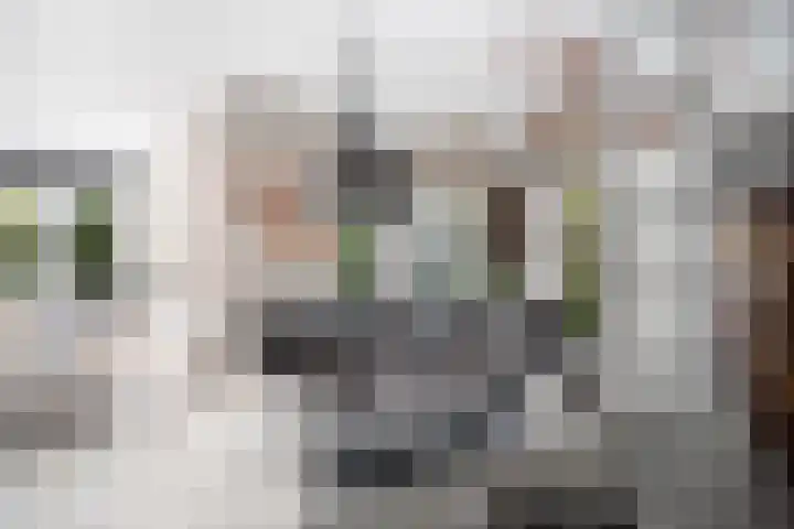 Brink van Kruimeltje 20 Pijnacker thumbnail 13