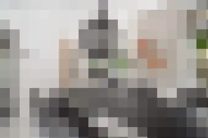 Brink van Kruimeltje 20 Pijnacker thumbnail 14