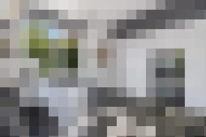 Brink van Kruimeltje 20 Pijnacker thumbnail 15