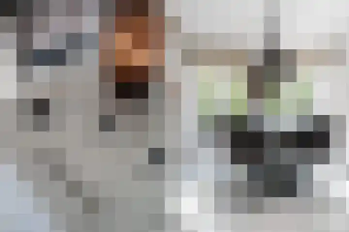 Brink van Kruimeltje 20 Pijnacker thumbnail 16