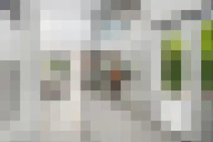 Brink van Kruimeltje 20 Pijnacker thumbnail 17