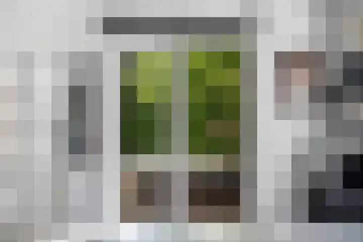 Brink van Kruimeltje 20 Pijnacker thumbnail 18