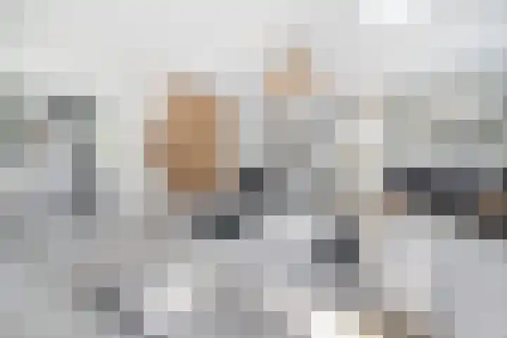 Brink van Kruimeltje 20 Pijnacker foto 2