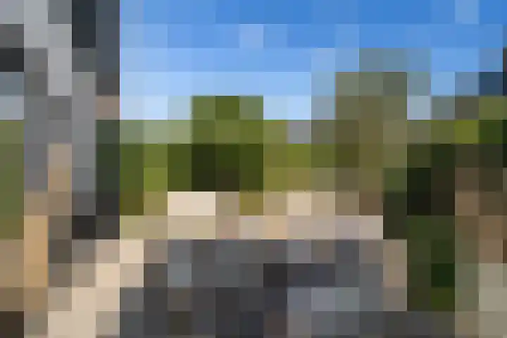 Brink van Kruimeltje 20 Pijnacker thumbnail 20