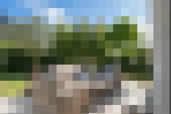 Brink van Kruimeltje 20 Pijnacker thumbnail 21