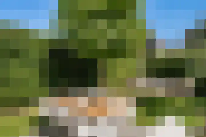 Brink van Kruimeltje 20 Pijnacker thumbnail 22