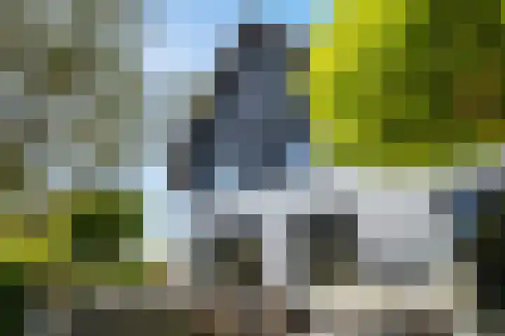 Brink van Kruimeltje 20 Pijnacker thumbnail 23