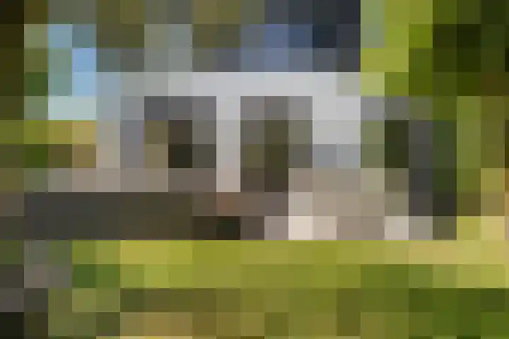 Brink van Kruimeltje 20 Pijnacker thumbnail 24