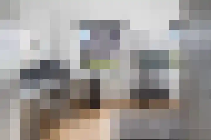 Brink van Kruimeltje 20 Pijnacker thumbnail 27