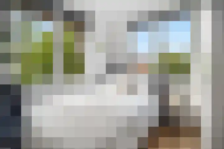 Brink van Kruimeltje 20 Pijnacker thumbnail 31