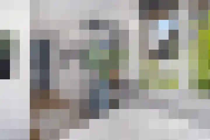 Brink van Kruimeltje 20 Pijnacker thumbnail 32