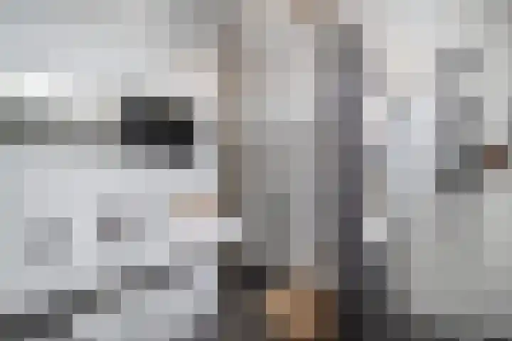 Brink van Kruimeltje 20 Pijnacker thumbnail 34