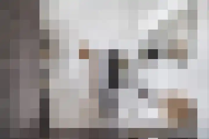 Brink van Kruimeltje 20 Pijnacker thumbnail 35