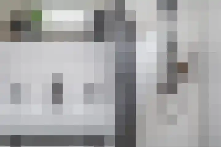 Brink van Kruimeltje 20 Pijnacker thumbnail 36