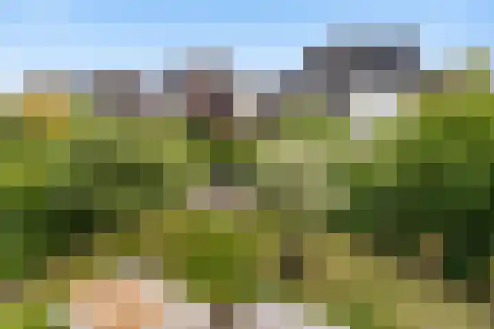 Brink van Kruimeltje 20 Pijnacker thumbnail 4