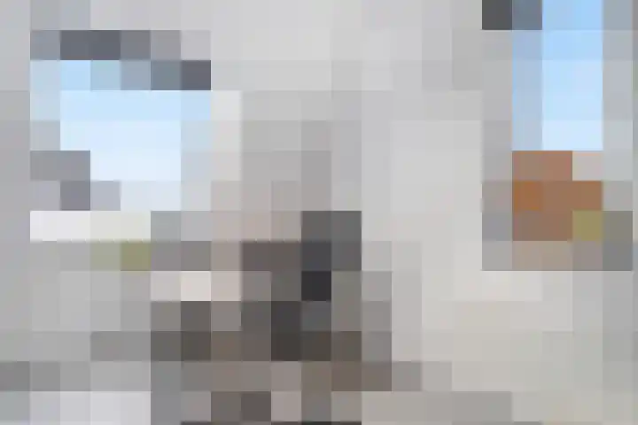 Brink van Kruimeltje 20 Pijnacker thumbnail 42