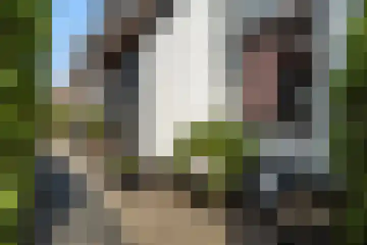 Brink van Kruimeltje 20 Pijnacker thumbnail 44