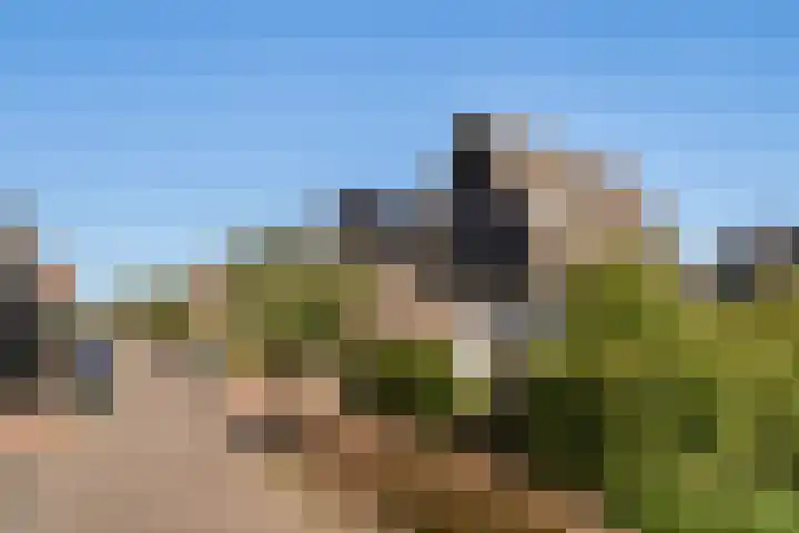 Brink van Kruimeltje 20 Pijnacker thumbnail 45