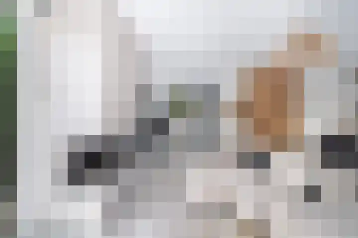 Brink van Kruimeltje 20 Pijnacker thumbnail 5