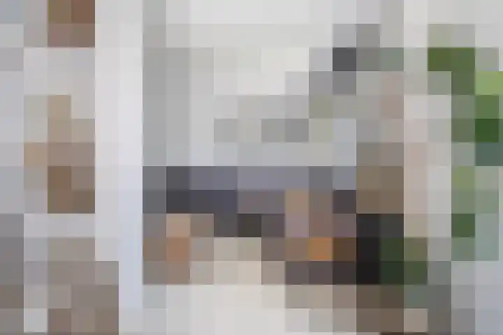 Brink van Kruimeltje 20 Pijnacker thumbnail 7