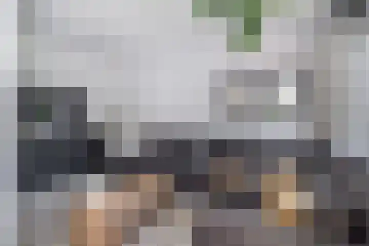 Brink van Kruimeltje 20 Pijnacker thumbnail 8