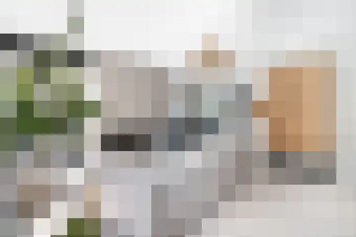 Brink van Kruimeltje 20 Pijnacker thumbnail 9