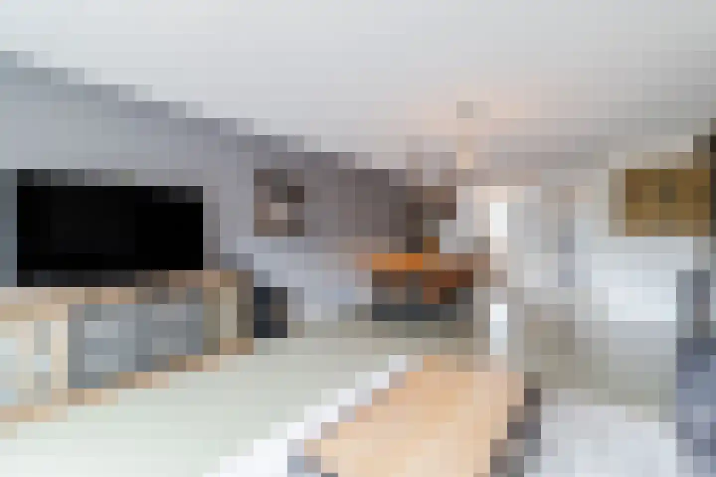 Brink van Kruimeltje 5 Pijnacker thumbnail 11