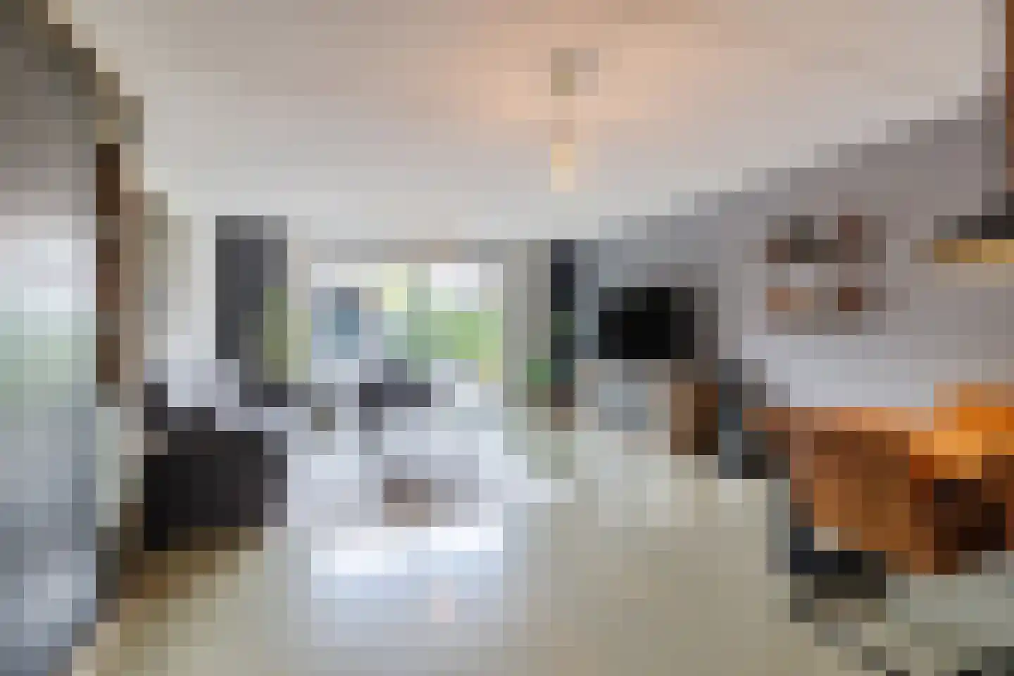 Brink van Kruimeltje 5 Pijnacker thumbnail 12