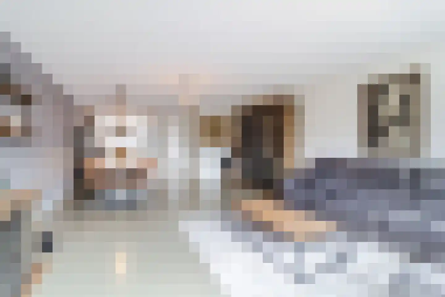 Brink van Kruimeltje 5 Pijnacker thumbnail 13