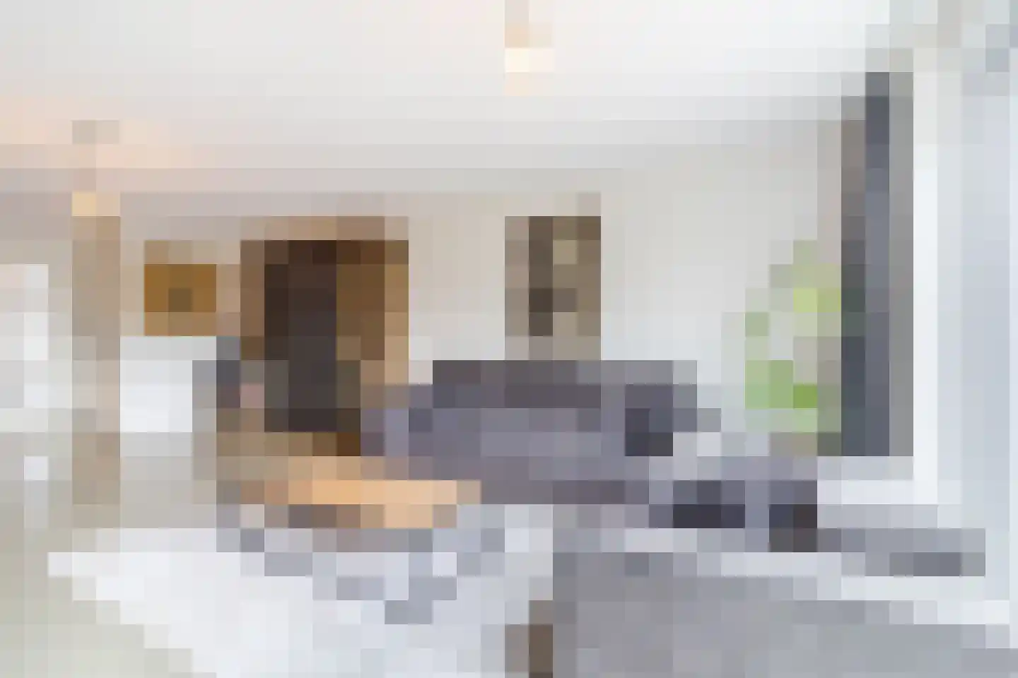 Brink van Kruimeltje 5 Pijnacker thumbnail 14