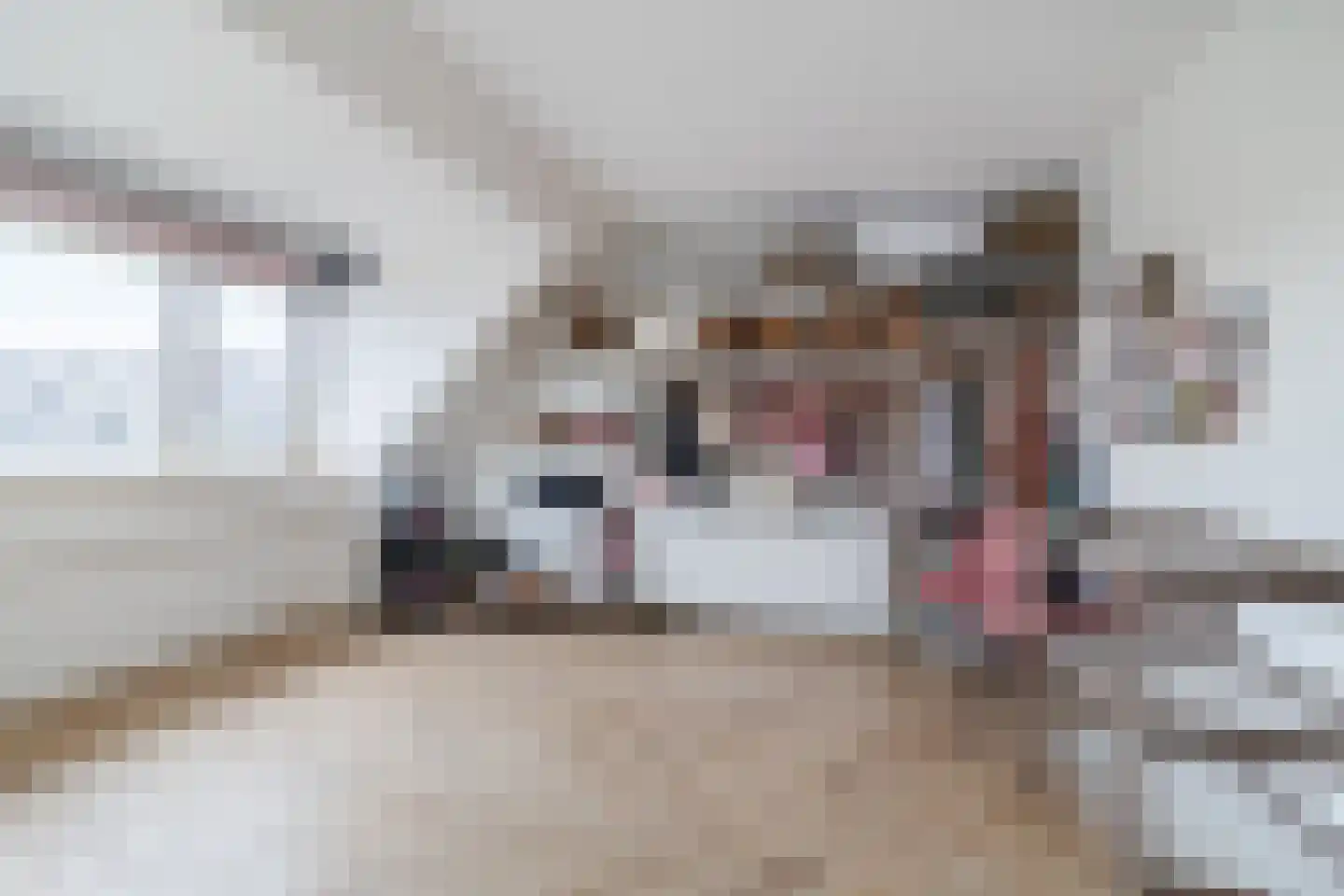 Brink van Kruimeltje 5 Pijnacker thumbnail 48