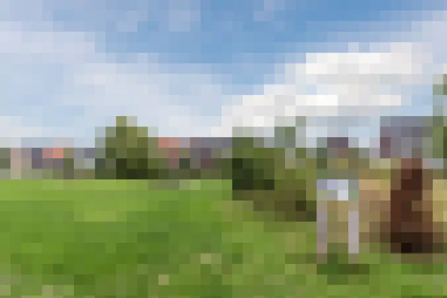 Brink van Kruimeltje 5 Pijnacker thumbnail 62