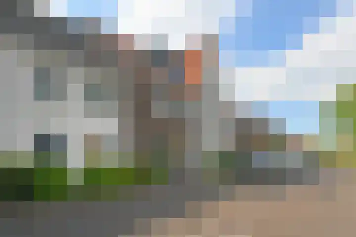 Brink van Kruimeltje 9 in Pijnacker