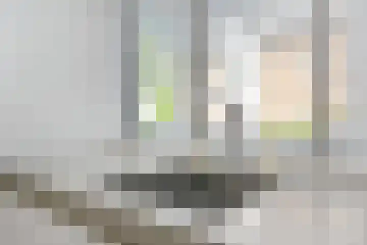 Brink van Kruimeltje 9 Pijnacker thumbnail 17