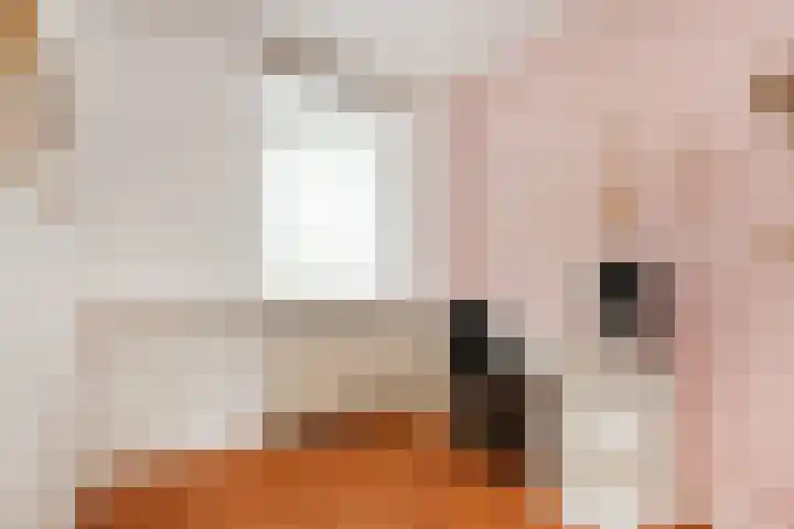 Brink van Kruimeltje 9 Pijnacker thumbnail 28