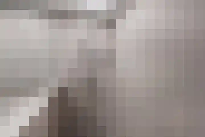 Brink van Kruimeltje 9 Pijnacker thumbnail 33