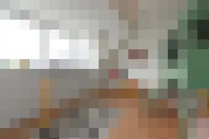 Brink van Kruimeltje 9 Pijnacker thumbnail 38