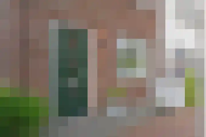 Brink van Kruimeltje 9 Pijnacker thumbnail 43