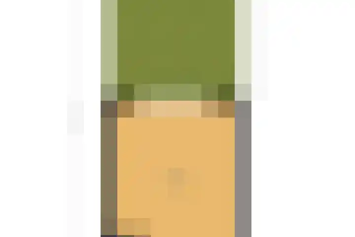 Brink van Kruimeltje 9 Pijnacker thumbnail 48