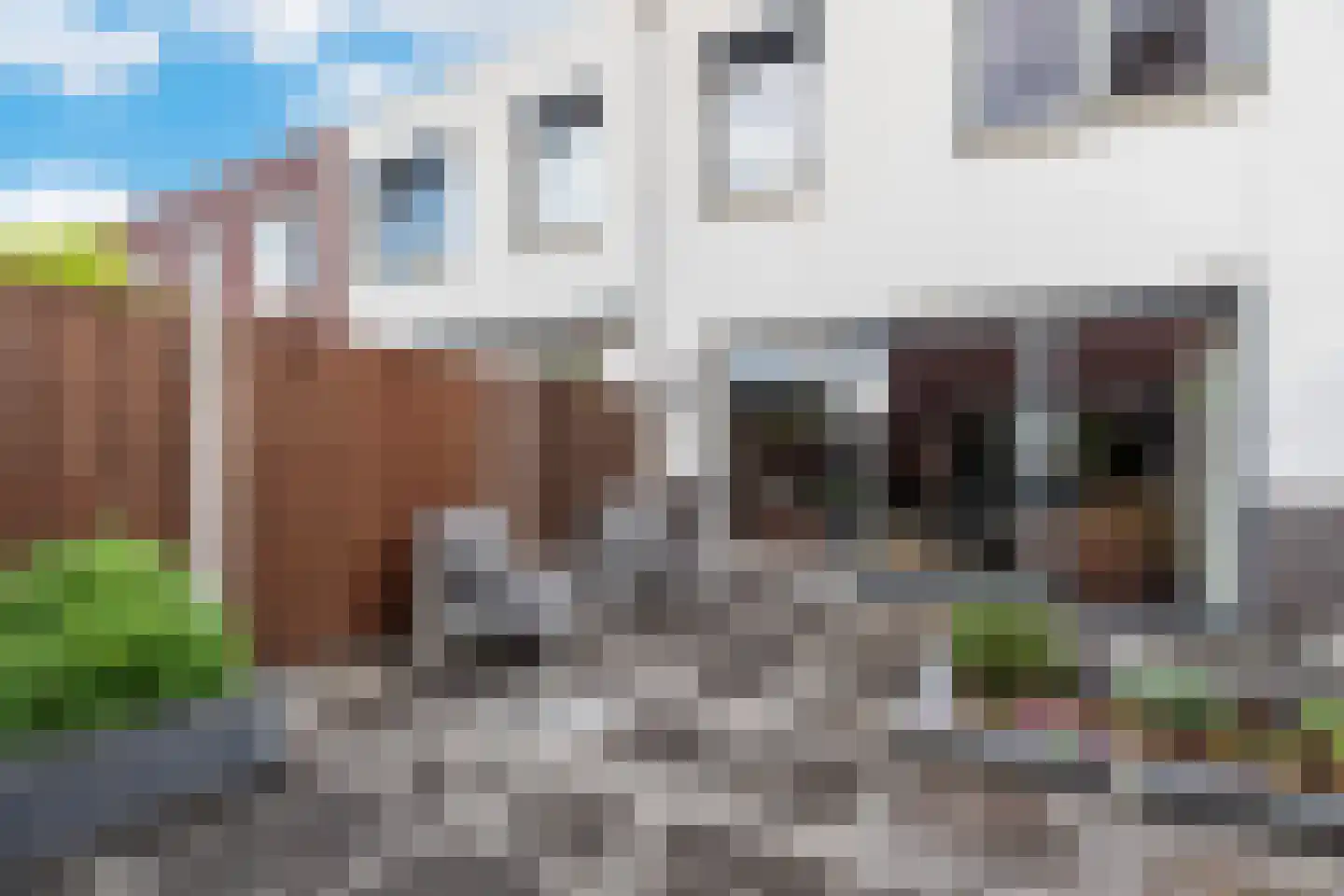 Brink van Pim Pandoer 12 Pijnacker thumbnail 31