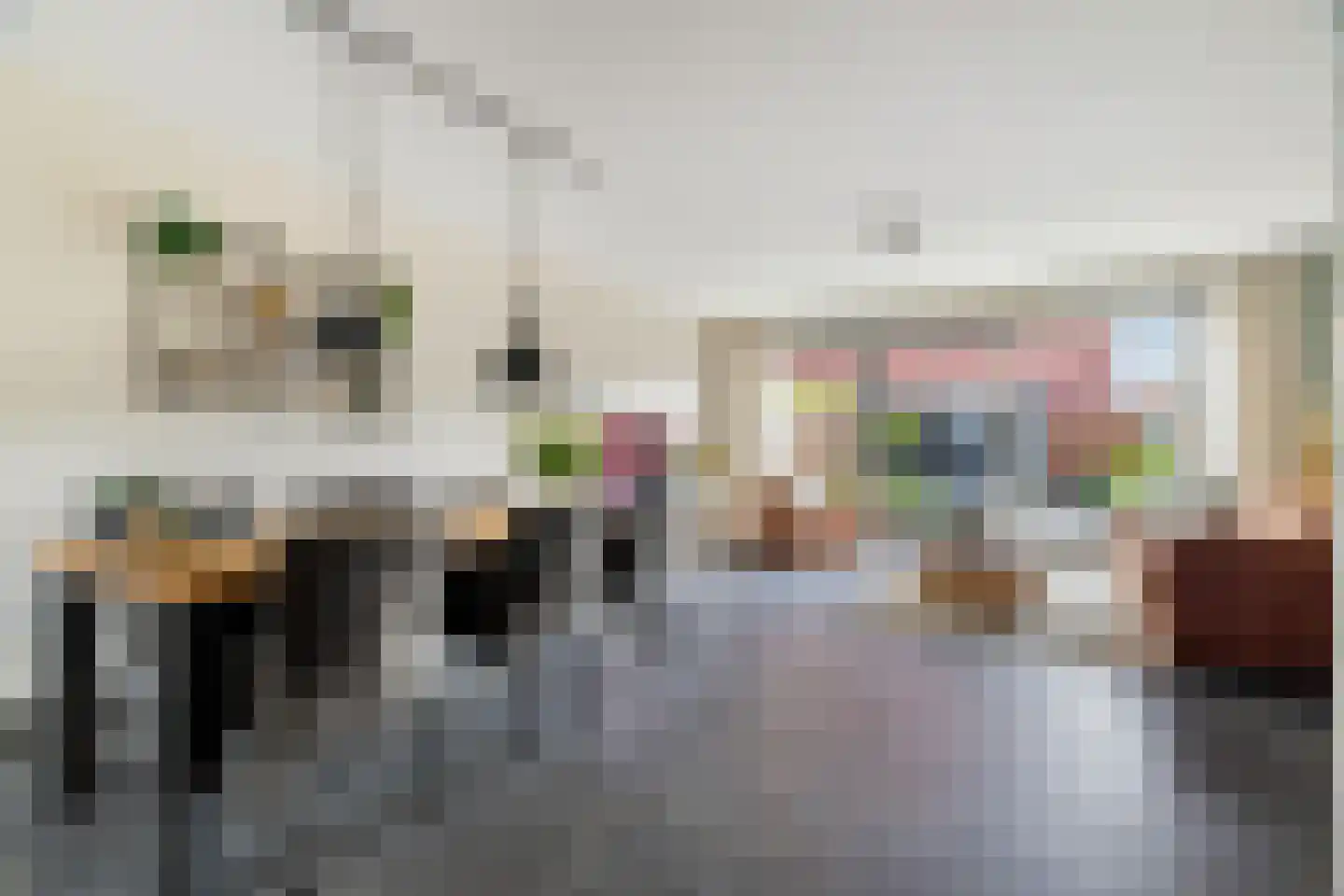 Brink van Pim Pandoer 12 Pijnacker thumbnail 4