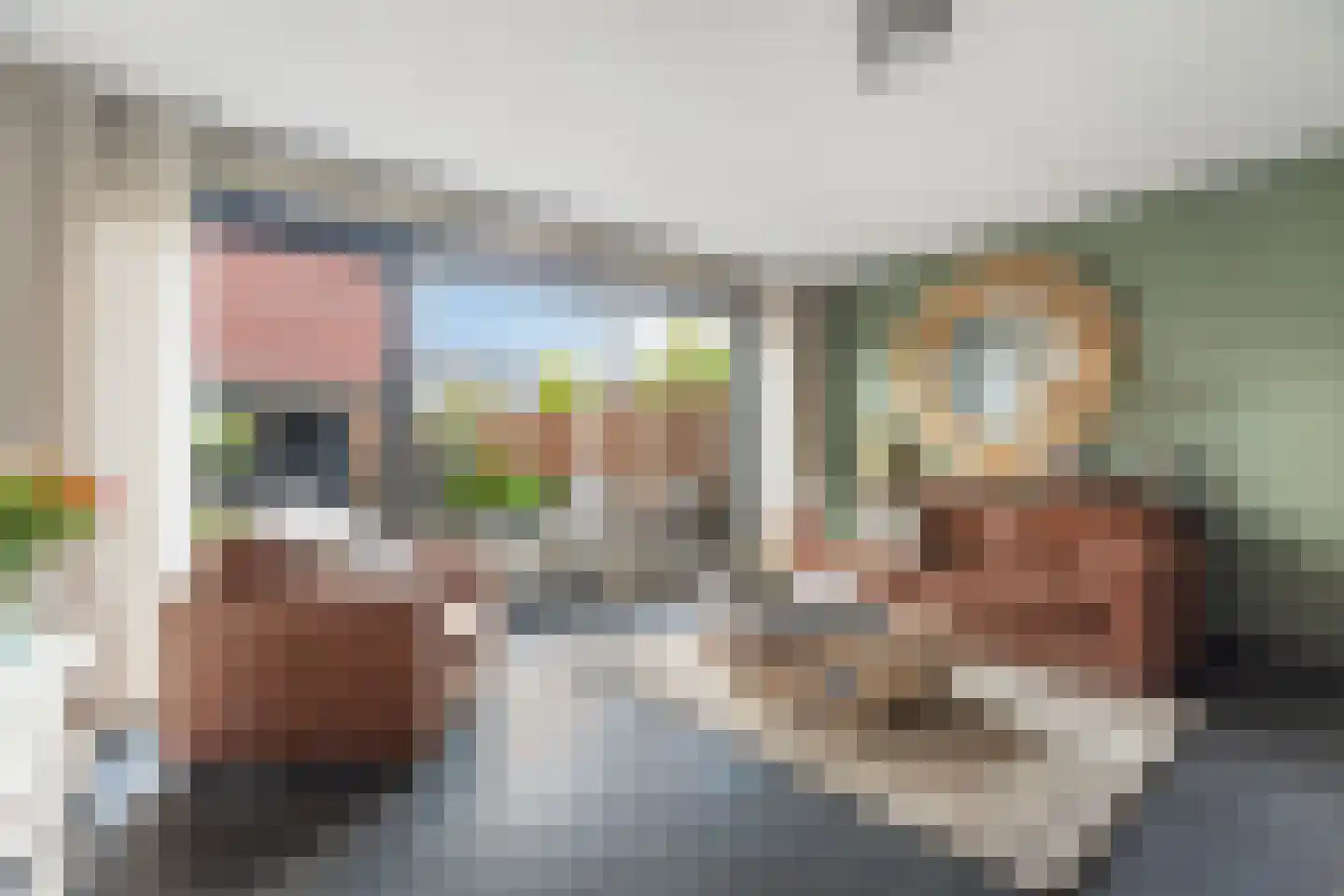 Brink van Pim Pandoer 12 Pijnacker thumbnail 5