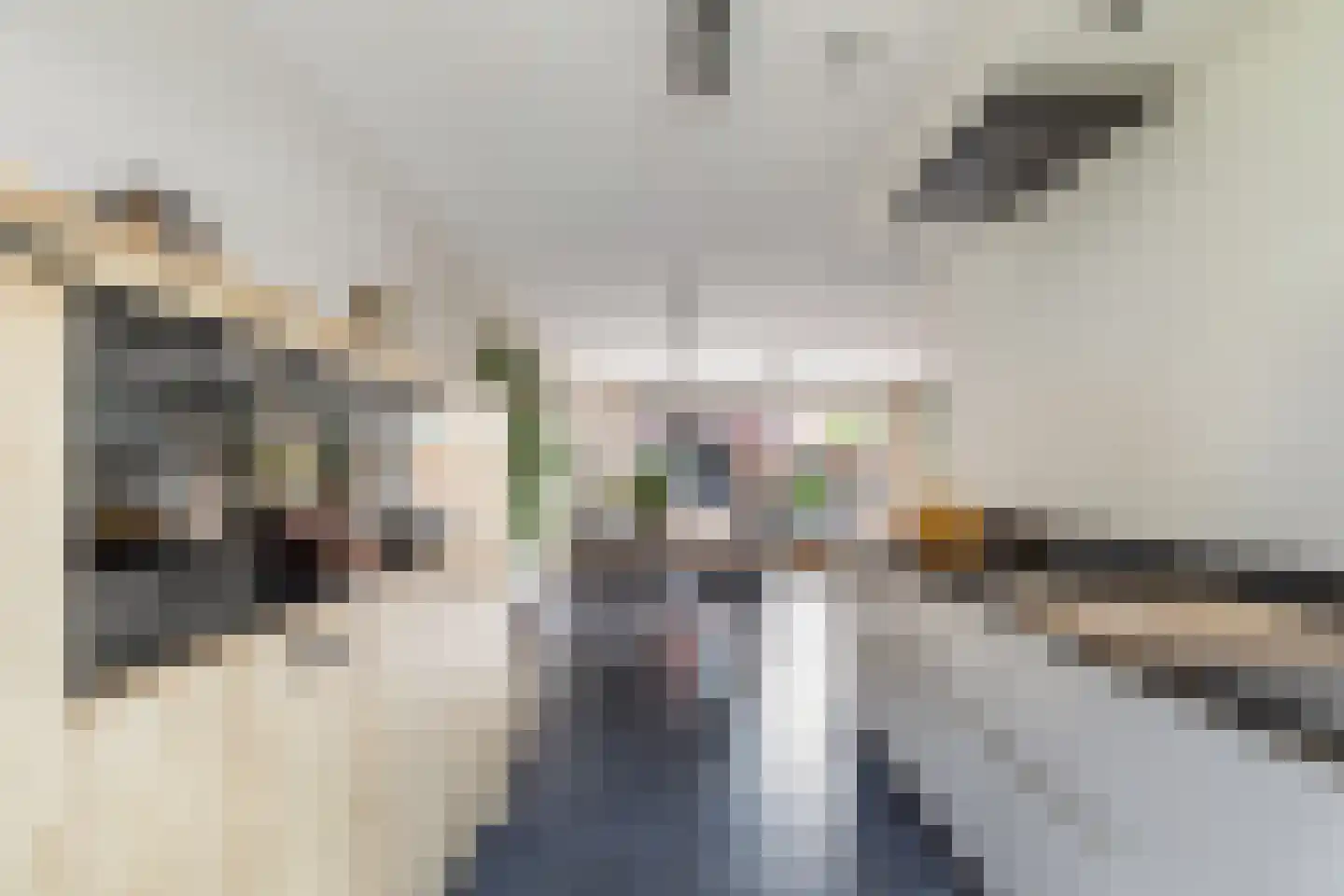 Brink van Pim Pandoer 12 Pijnacker thumbnail 8