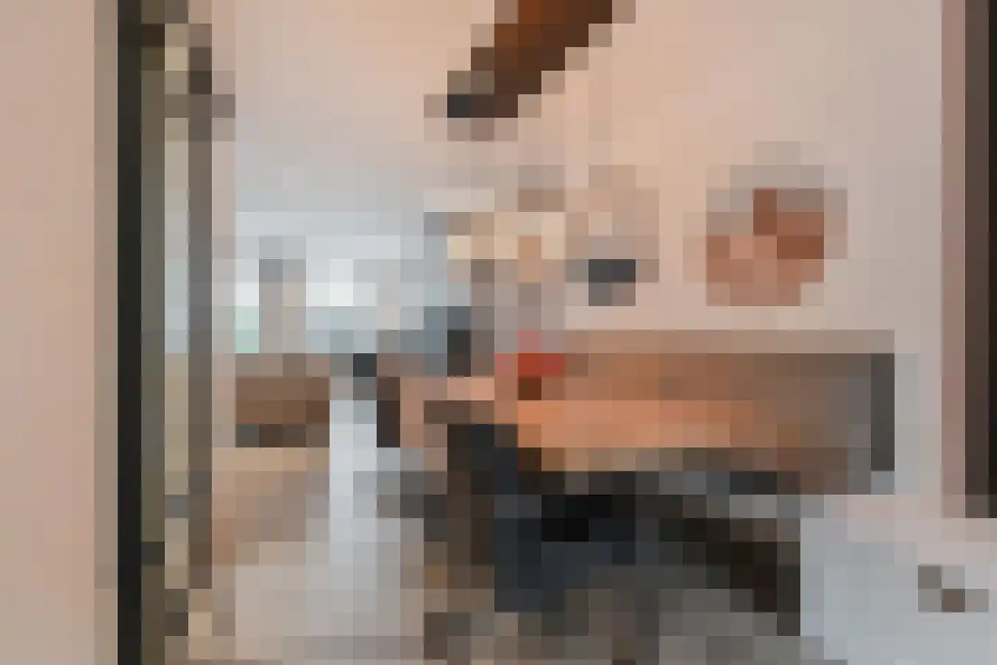 Brink van Pim Pandoer 7 Pijnacker thumbnail 8