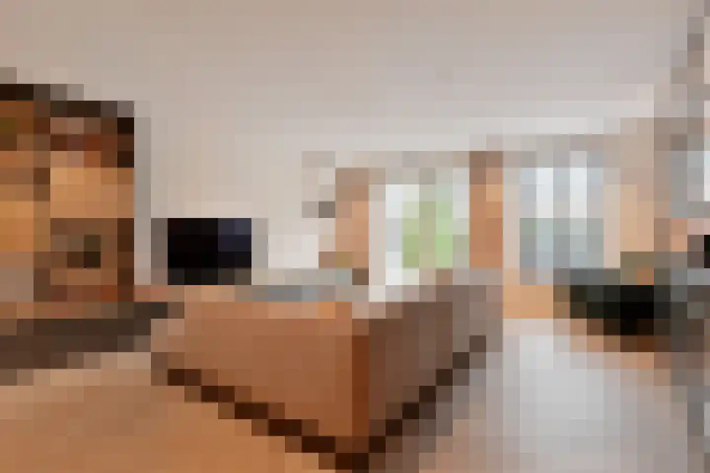 Brink van Pim Pandoer 7 Pijnacker thumbnail 9