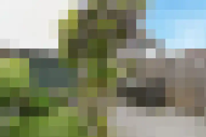 Brink van Pinkeltje 9 Pijnacker thumbnail 10