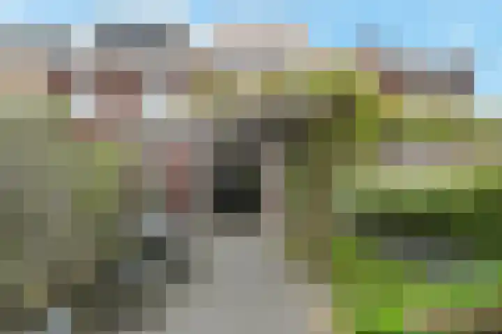 Brink van Pinkeltje 9 Pijnacker thumbnail 11